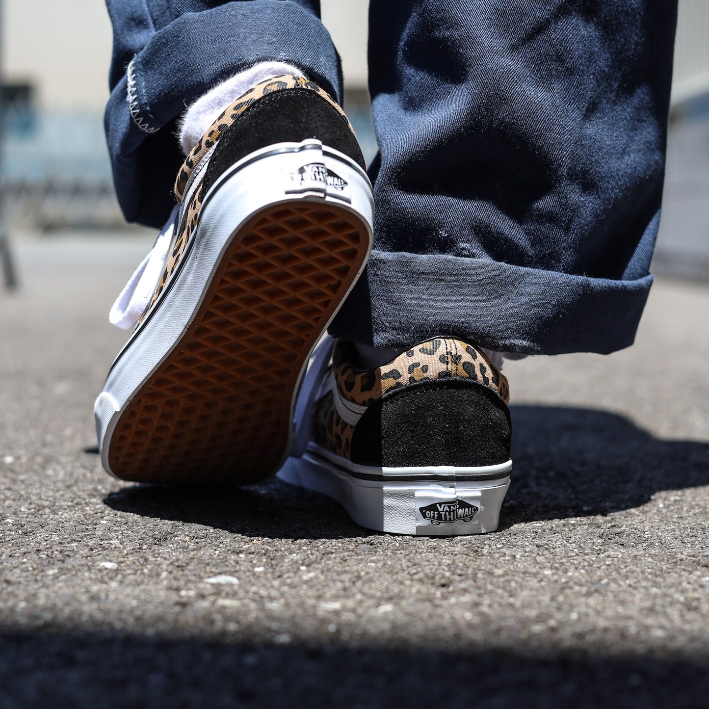 VANS / OLD SKOOL (ANIMALIER BLACK)