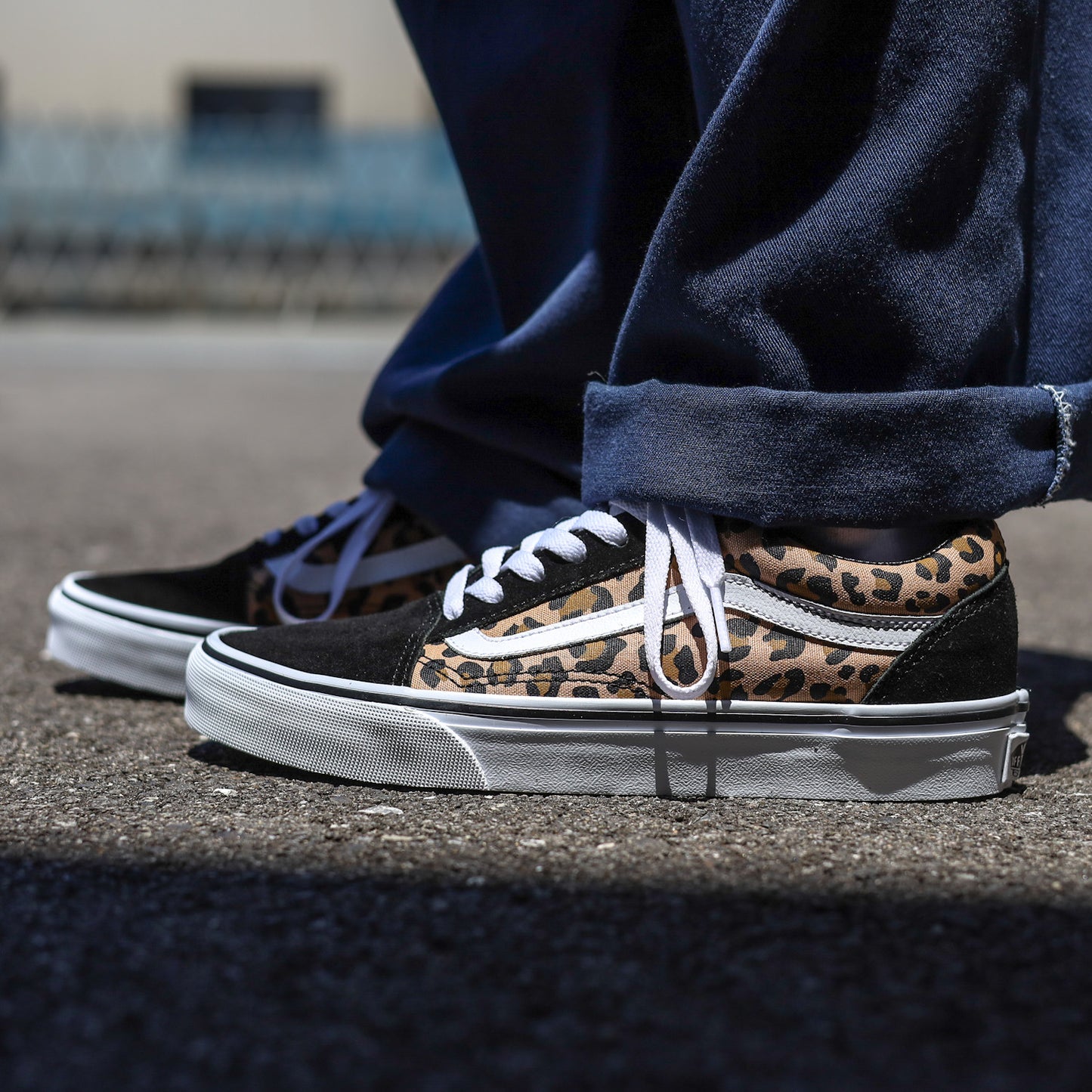 VANS / OLD SKOOL (ANIMALIER BLACK)