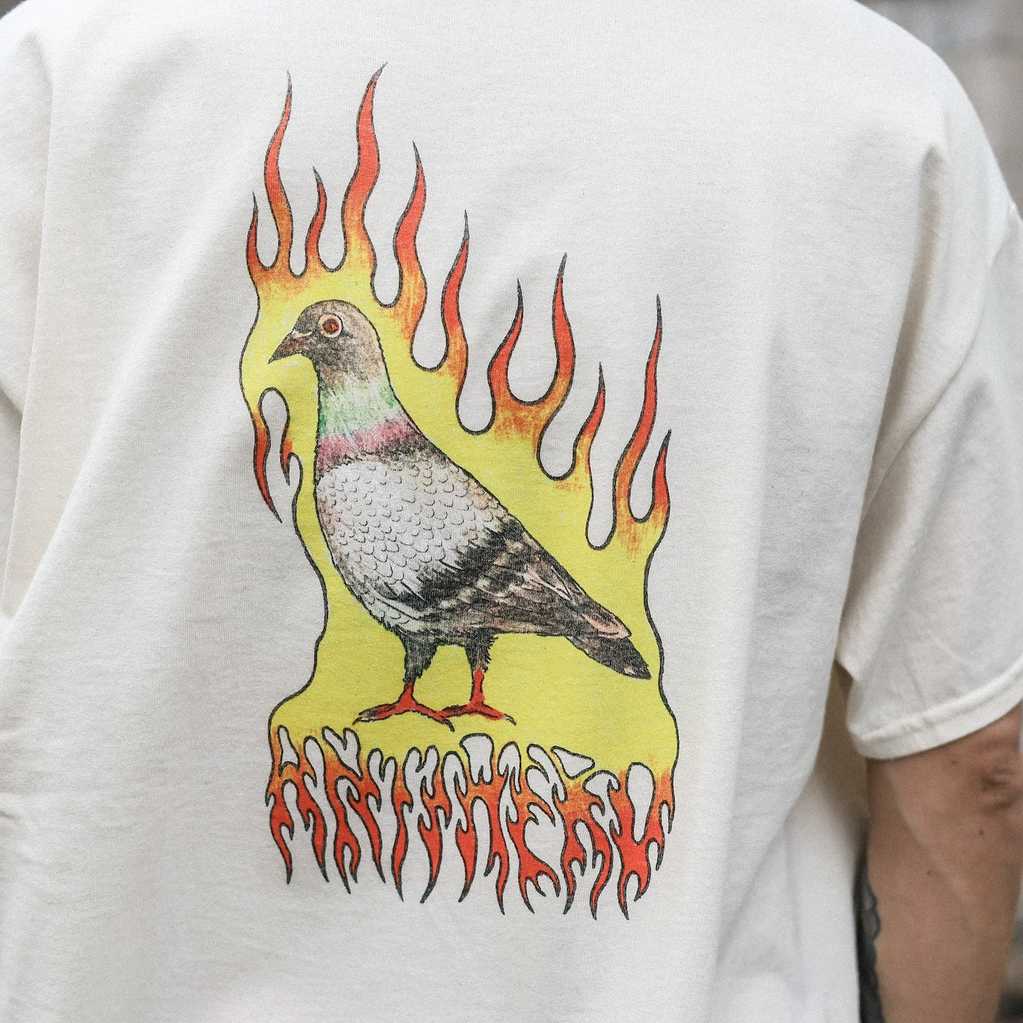 ANTIHERO / FLAME PIGEON S/S TEE (NATURAL)