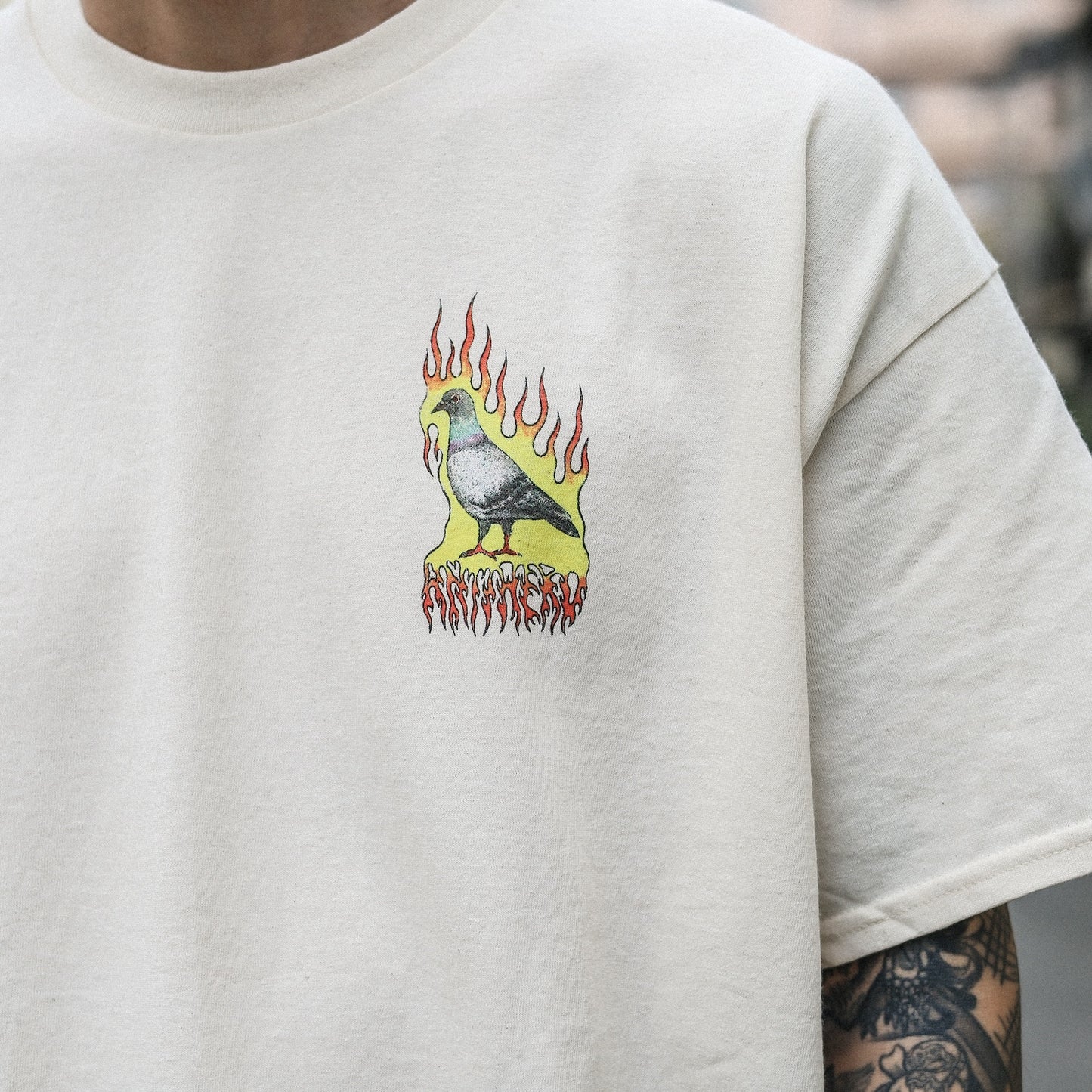 ANTIHERO / FLAME PIGEON S/S TEE (NATURAL)