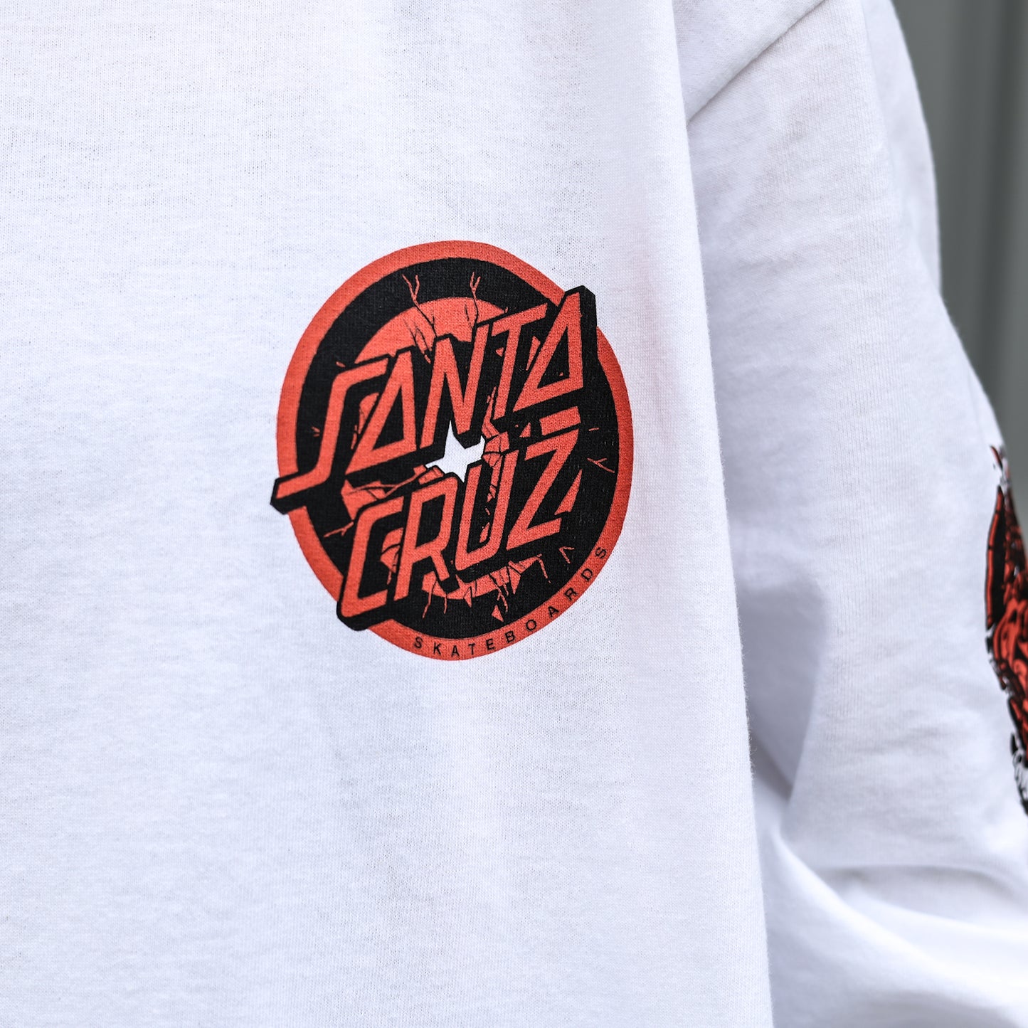 SANTA CRUZ / ROB EVOLUTION L/S TEE (WHITE)