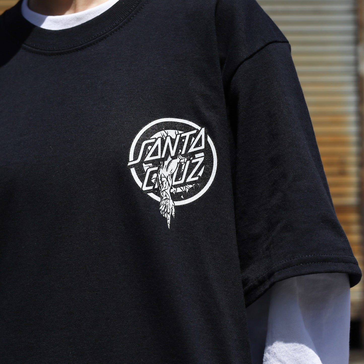 SANTA CRUZ / ROSKOPP EVO 2 S/S TEE (BLACK)