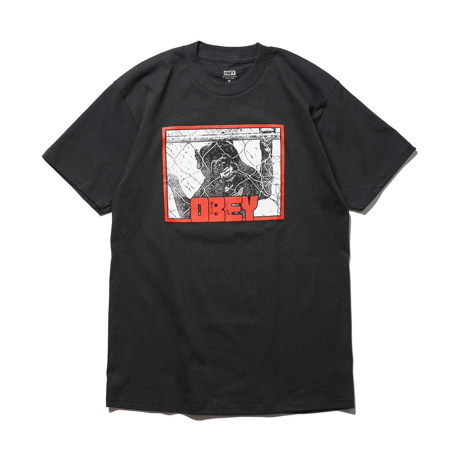 OBEY / OBEY BEWARE CLASSIC T-SHIRT (VINTAGE BLACK) – Feelin