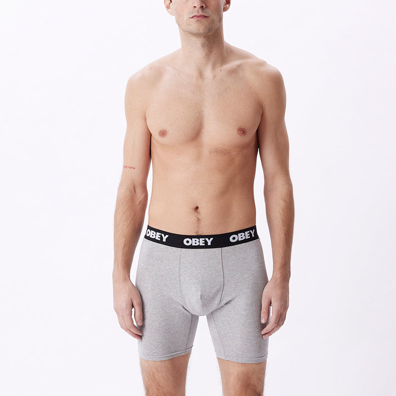 OBEY / ESTABLISHED WORK 2 PACK BOXER BRIEFS (ASH GREY)