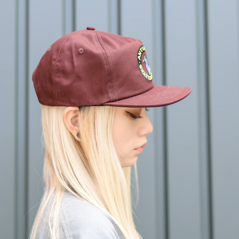 ANTIHERO / PIGEON ROUND SNAPBACK CAP (BROWN)