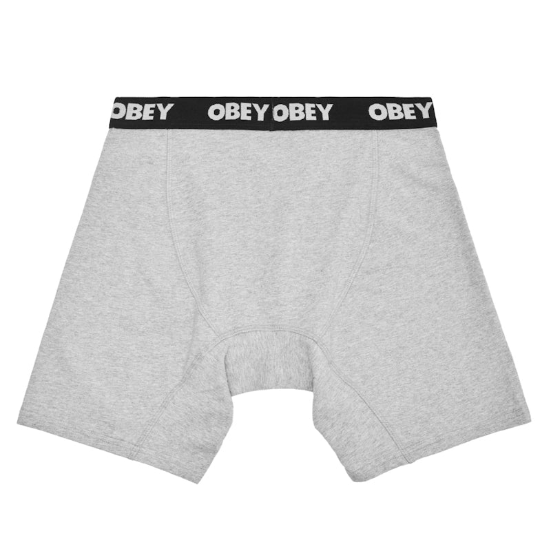 OBEY / ESTABLISHED WORK 2 PACK BOXER BRIEFS (ASH GREY)