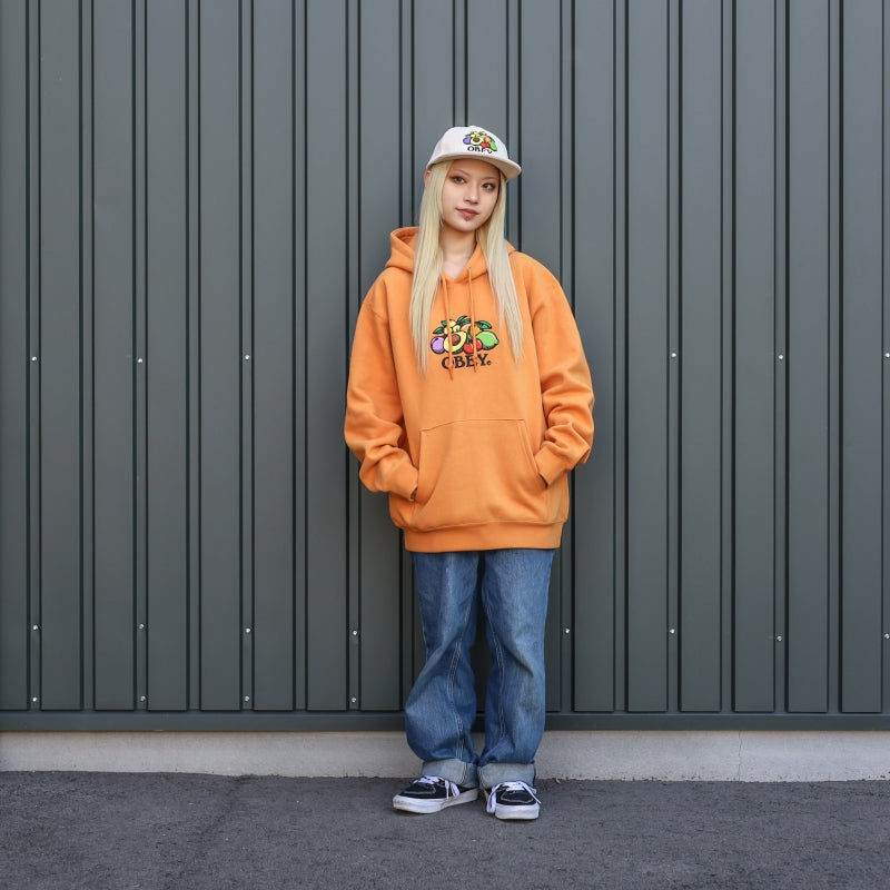 OBEY / BASKET PULLOVER HOODIE (SUN DIAL)
