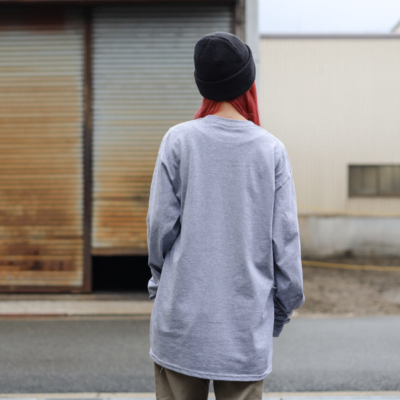 ANTIHERO / BIG PIGEON L/S TEE (SPORT GREY/MULTI)