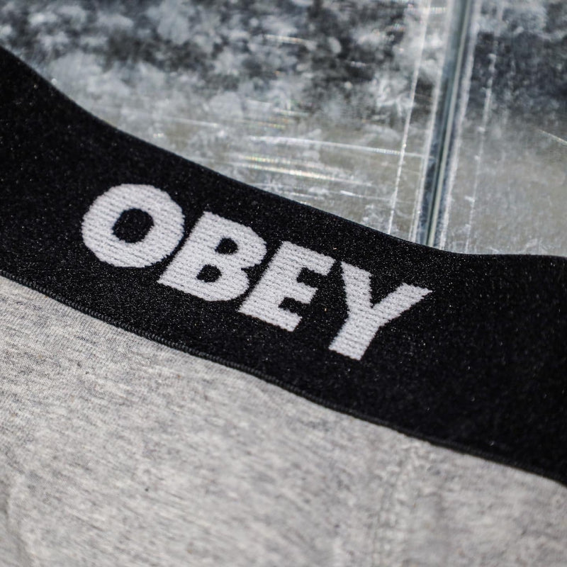 OBEY / ESTABLISHED WORK 2 PACK BOXER BRIEFS (ASH GREY)