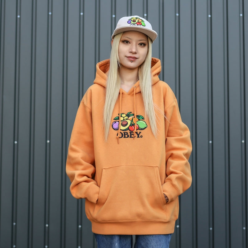 OBEY / BASKET PULLOVER HOODIE (SUN DIAL)