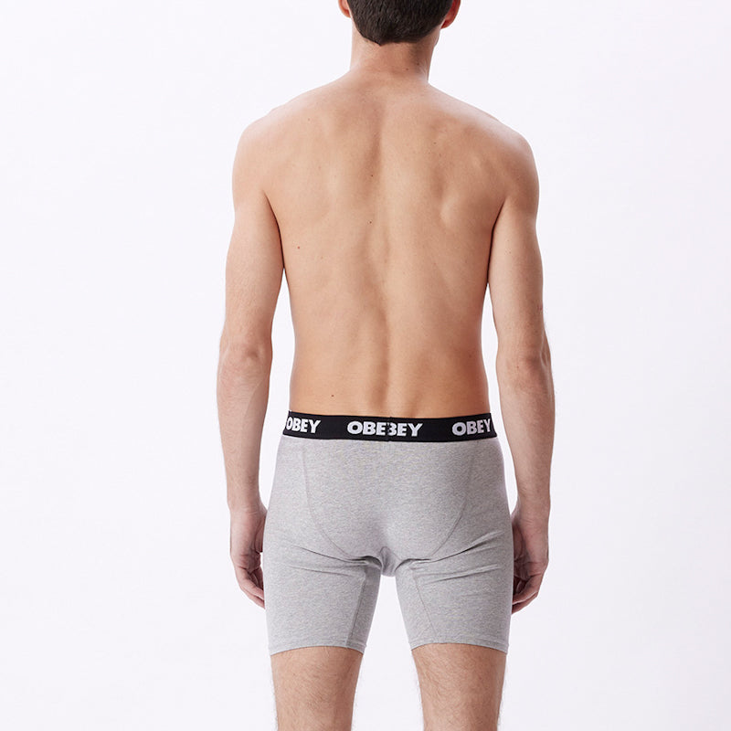 OBEY / ESTABLISHED WORK 2 PACK BOXER BRIEFS (ASH GREY)