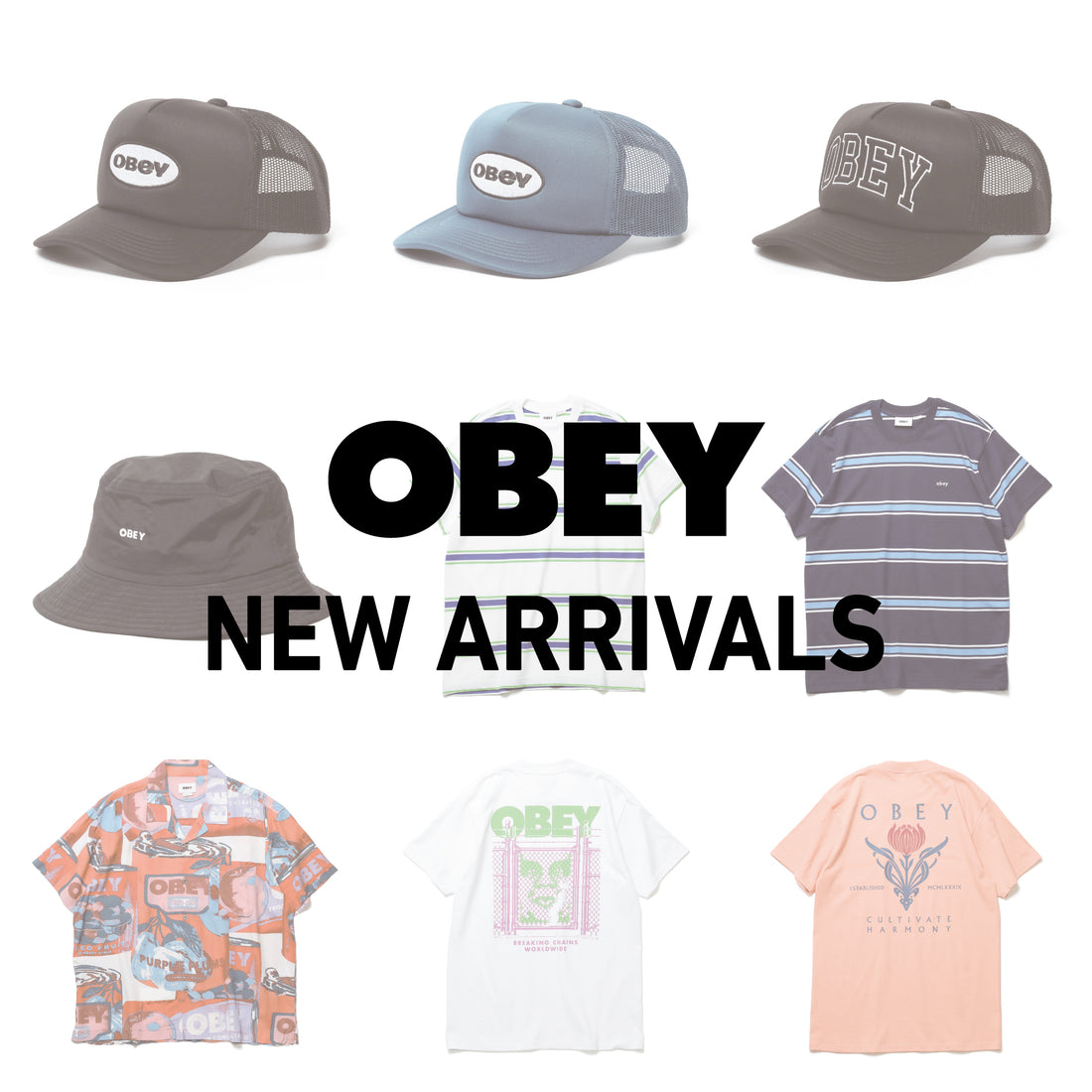 【OBEY】9点新入荷