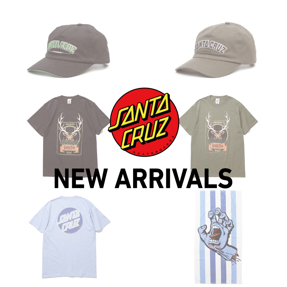 【SANTA CRUZ】6点新入荷