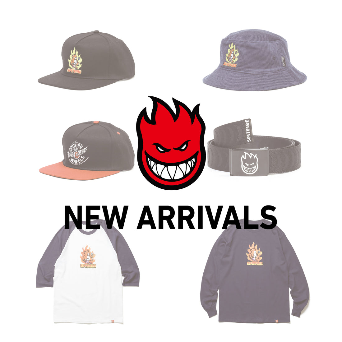 【SPITFIRE】6点新入荷