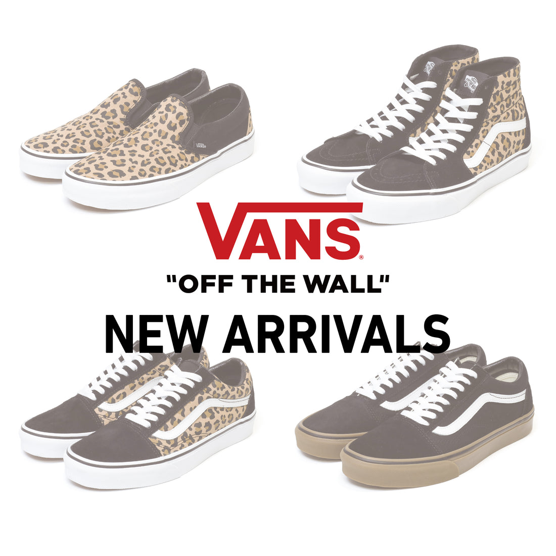 【VANS】4点新入荷