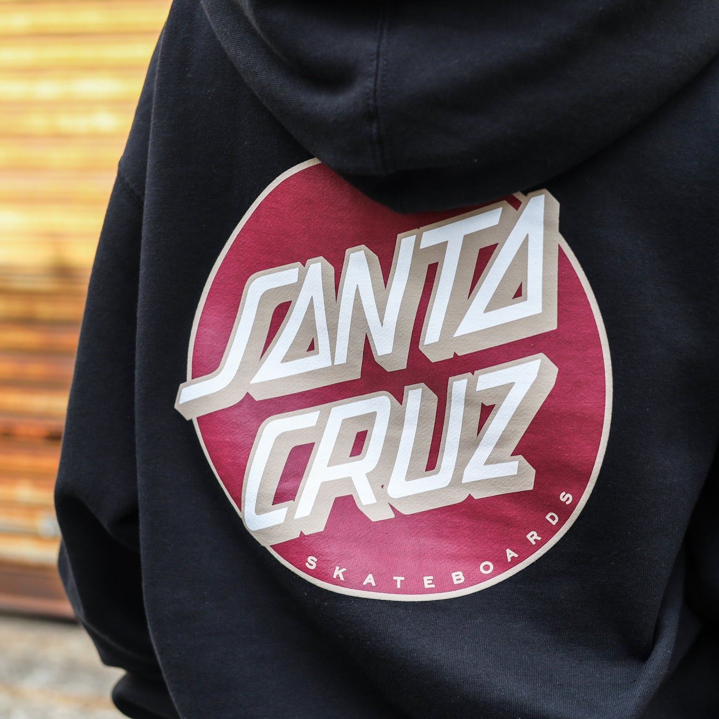 SANTA CRUZ / OTHER DOT PULLOVER HOODIE (BLACK)