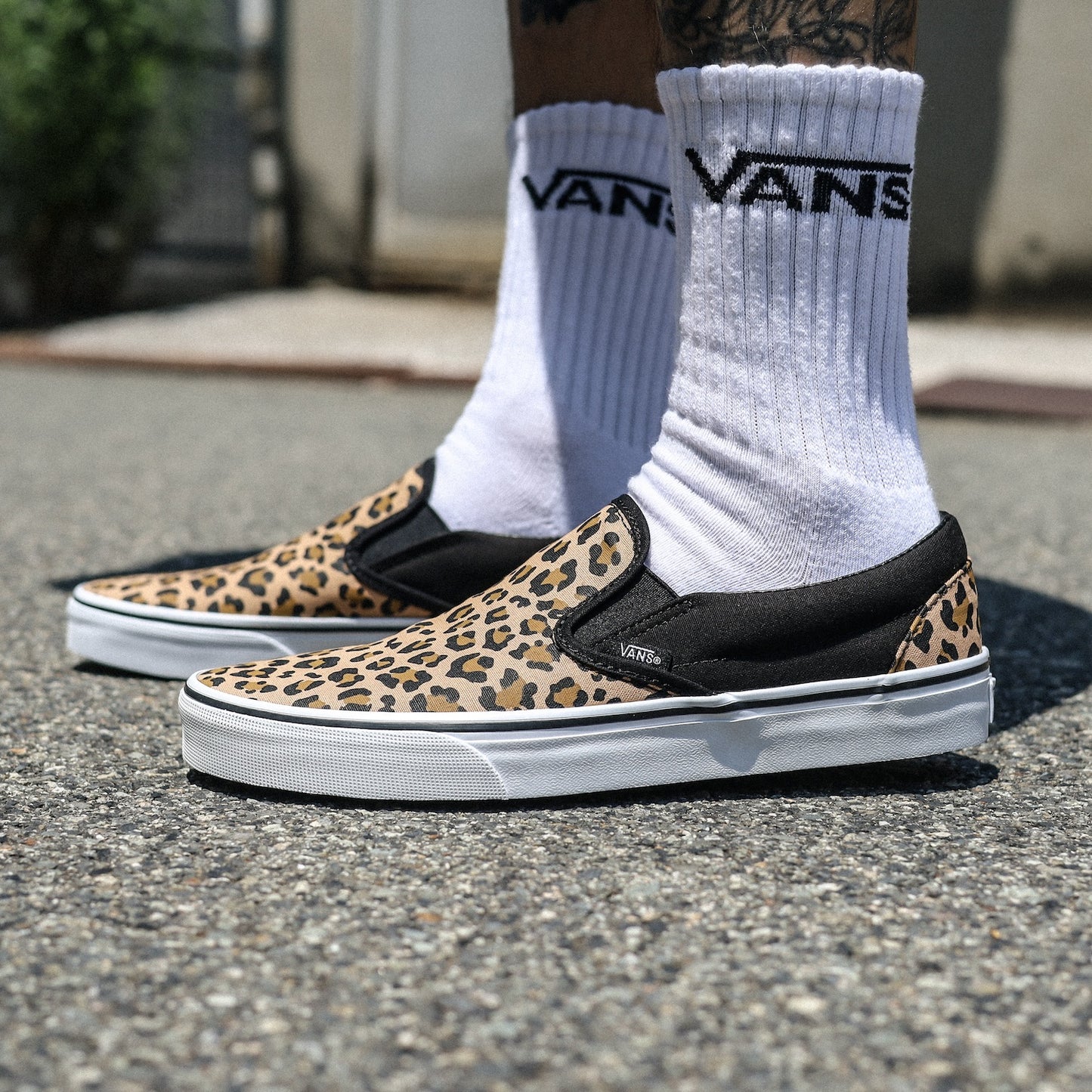 VANS / CLASSIC SLIP-ON (ANIMALIER BLACK)