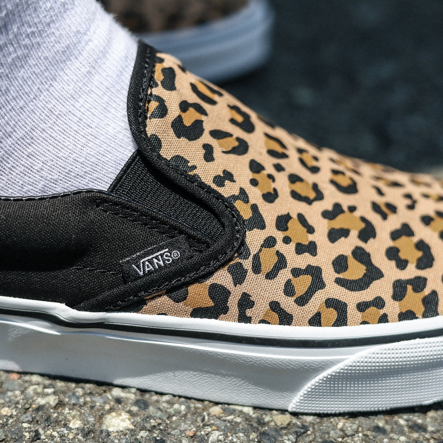 VANS / CLASSIC SLIP-ON (ANIMALIER BLACK)