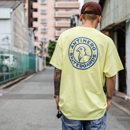 ANTIHERO / BASIC PIGEON ROUND DBL TEE (CORNSILK)