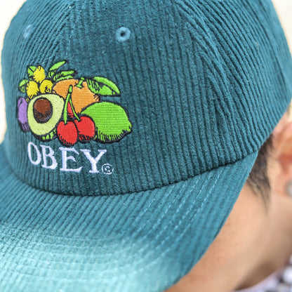 OBEY / FRUITS 6 PANEL SNAPBACK CAP (DARK CEDAR)