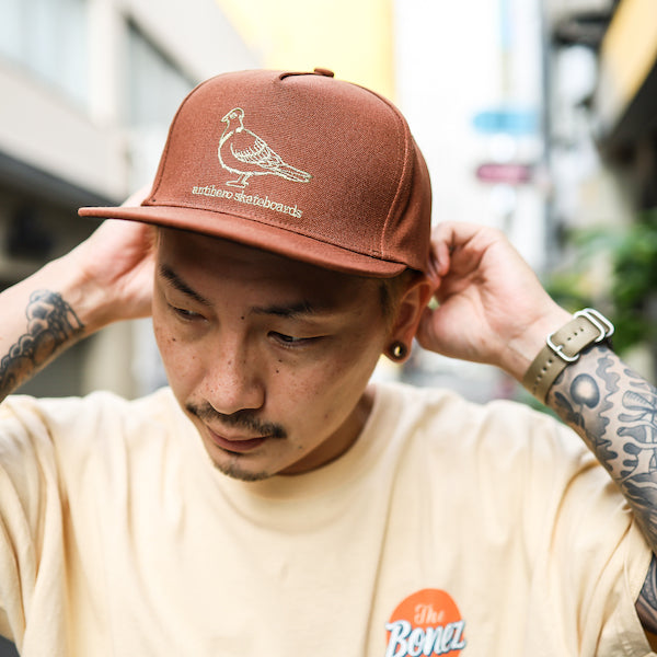 ANTIHERO / BASIC PIGEON SNAPBACK CAP (BROWN/KHAKI)