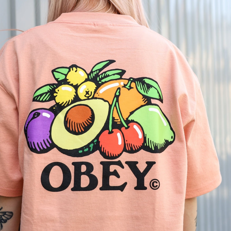 OBEY / OBEY BOWL OF FRUIT CLASSIC TEE (CITRUS)