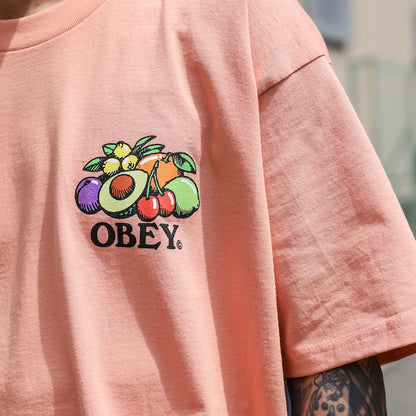 OBEY / OBEY BOWL OF FRUIT CLASSIC TEE (CITRUS)