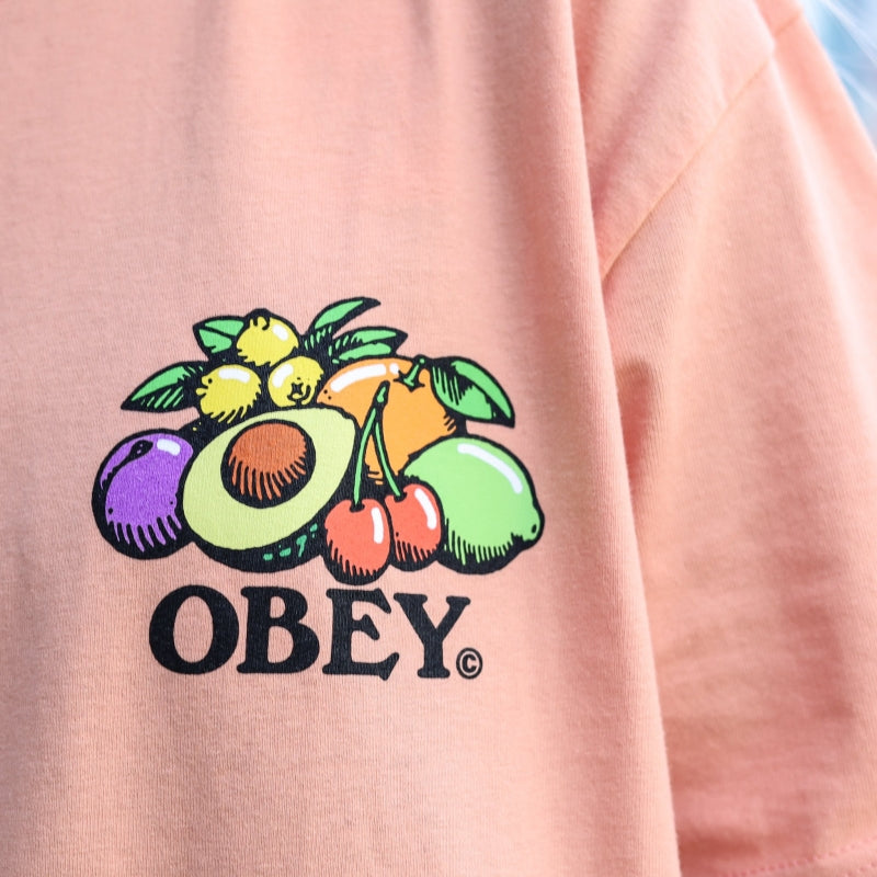 OBEY / OBEY BOWL OF FRUIT CLASSIC TEE (CITRUS)